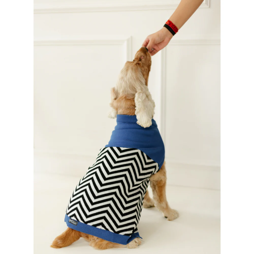 Pet Set Go Raisin’s Sweater for Dogs and Cats (Blue & Black) - Image 3