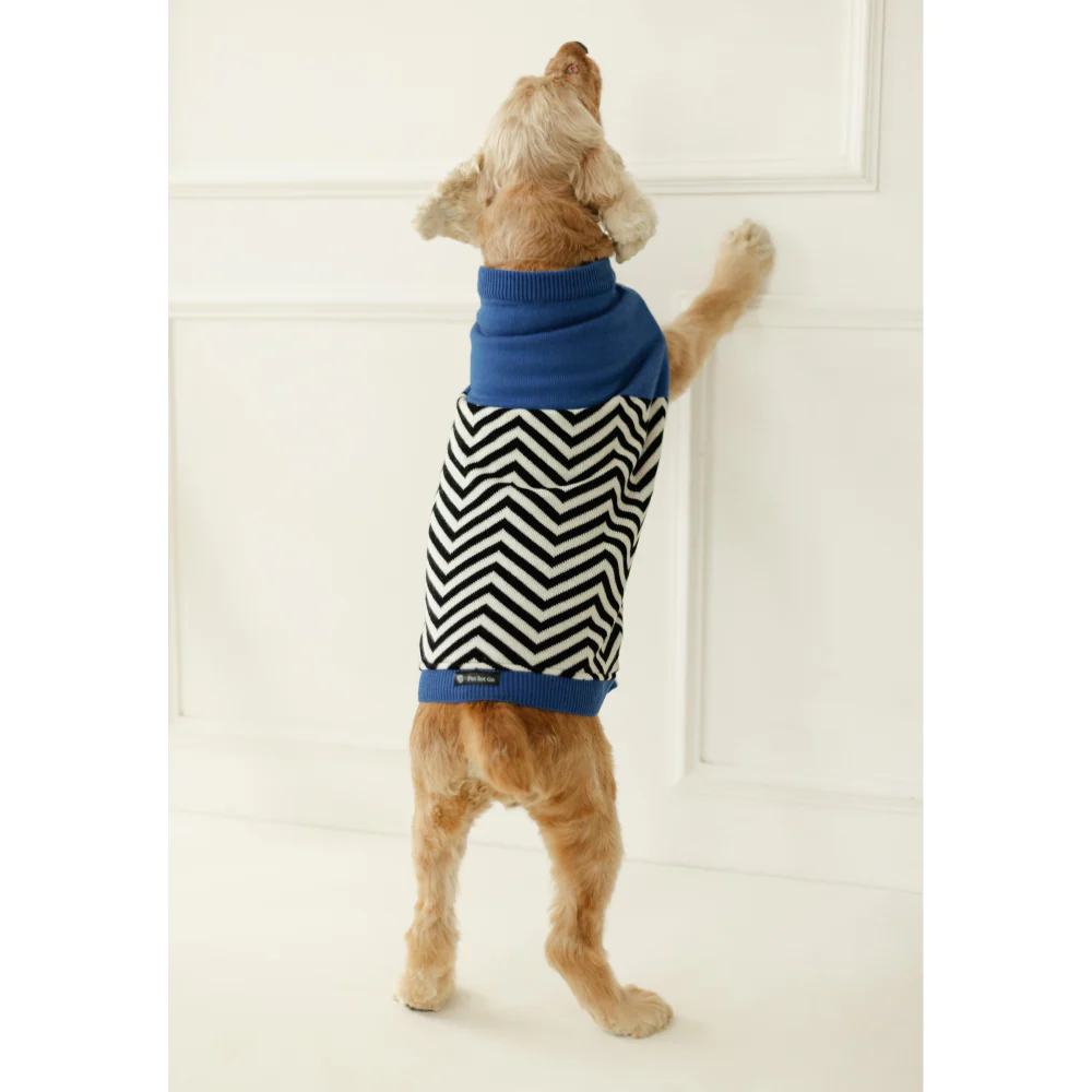 Pet Set Go Raisin’s Sweater for Dogs and Cats (Blue & Black) - Image 4