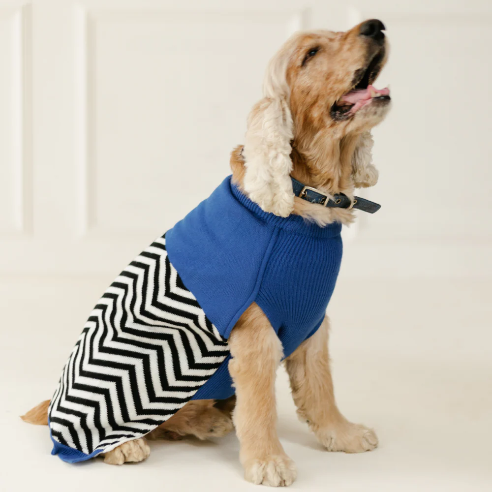 Pet Set Go Raisin’s Sweater for Dogs and Cats (Blue & Black) - Image 5