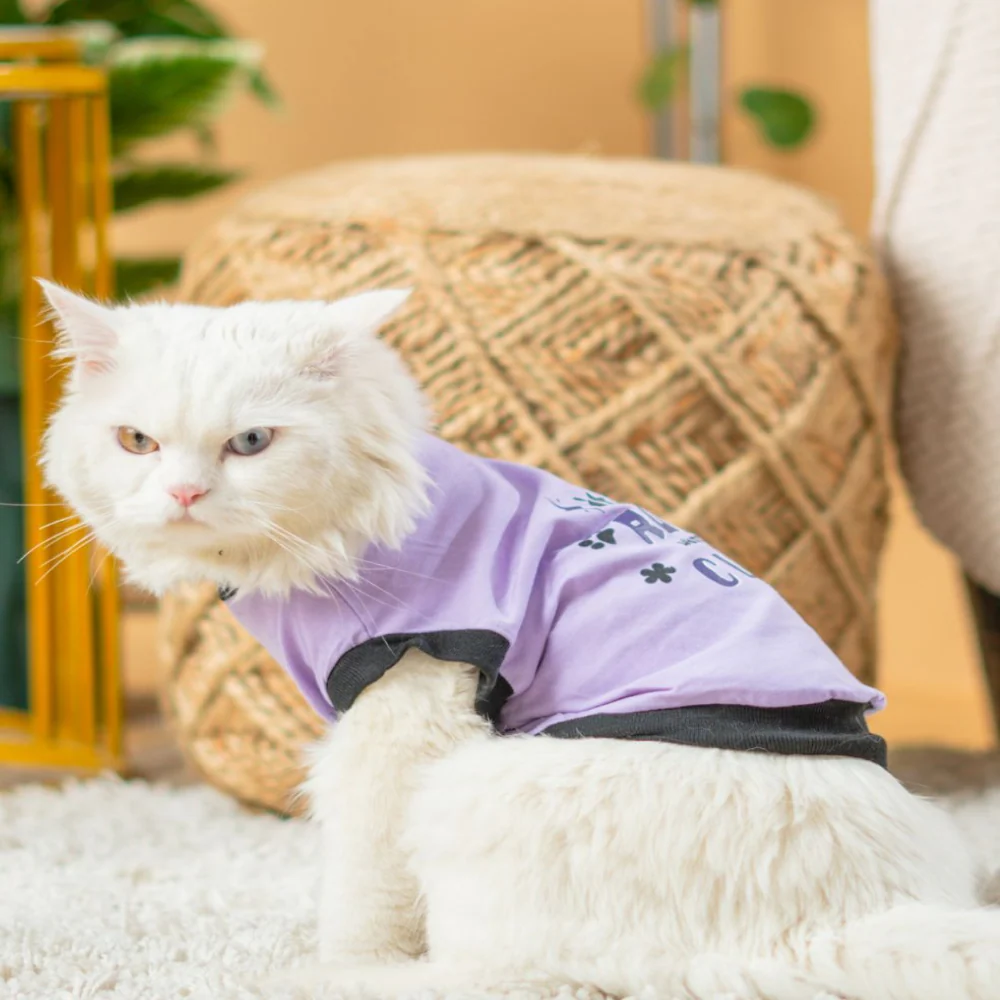Pet Set Go Ruff Being Cute T-shirt for Cats (Purple) - Image 4