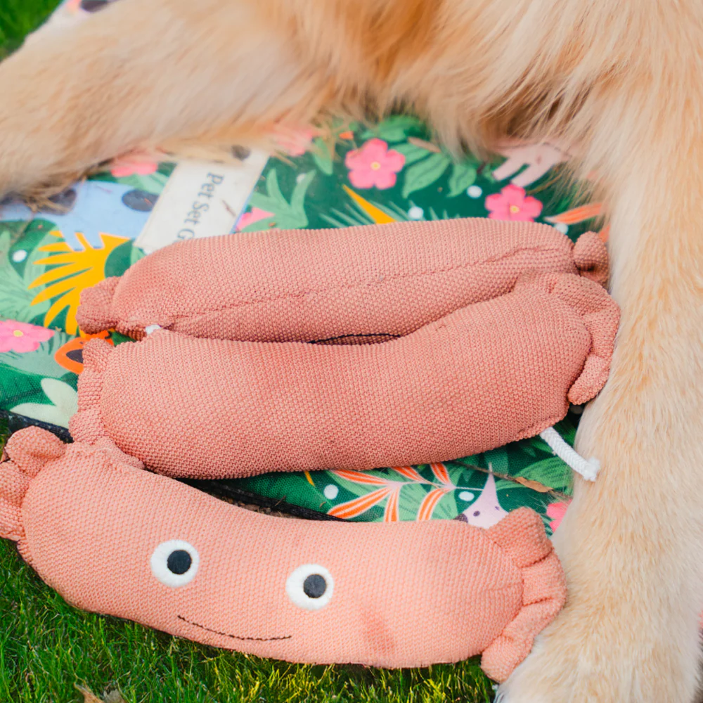 Pet Set Go Sausage Plush Toy for Dogs (Brown) - Image 5