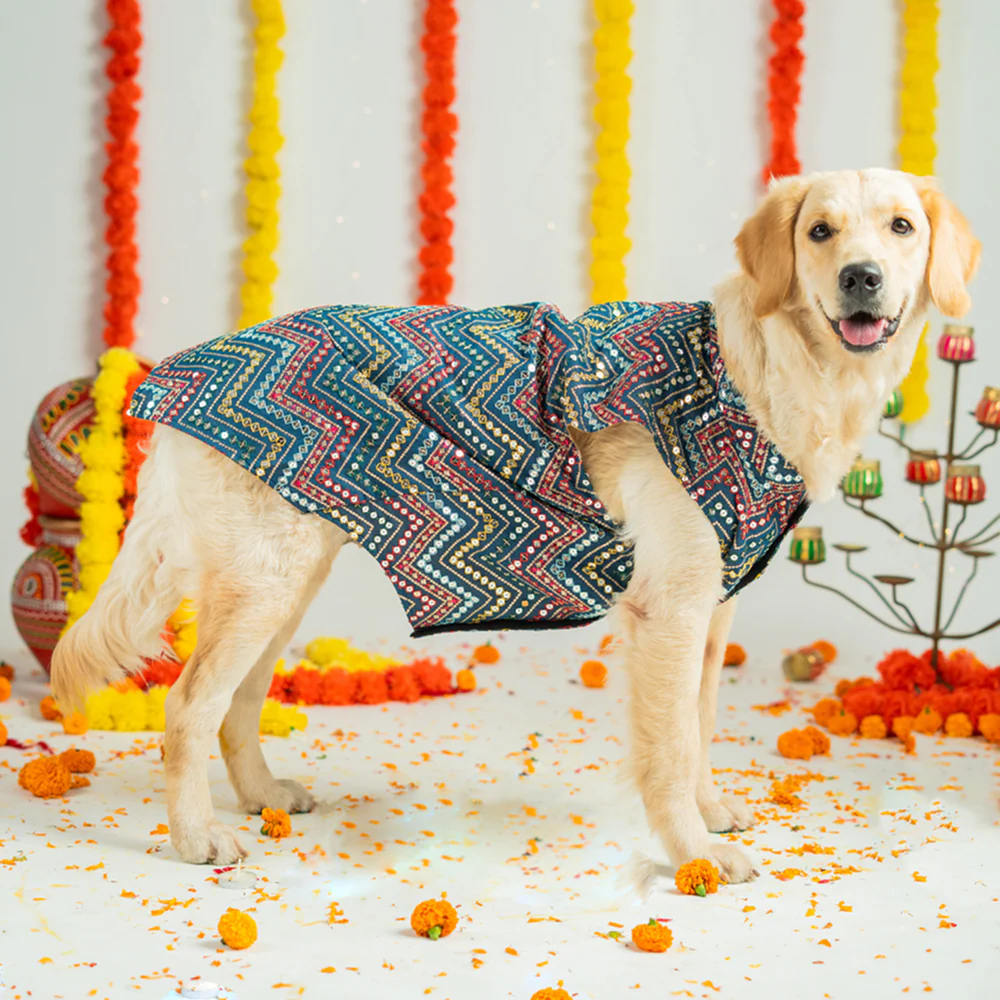 Pet Set Go Sherwani for Dogs (Blue) - Image 3