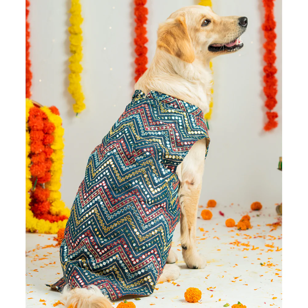 Pet Set Go Sherwani for Dogs (Blue) - Image 5
