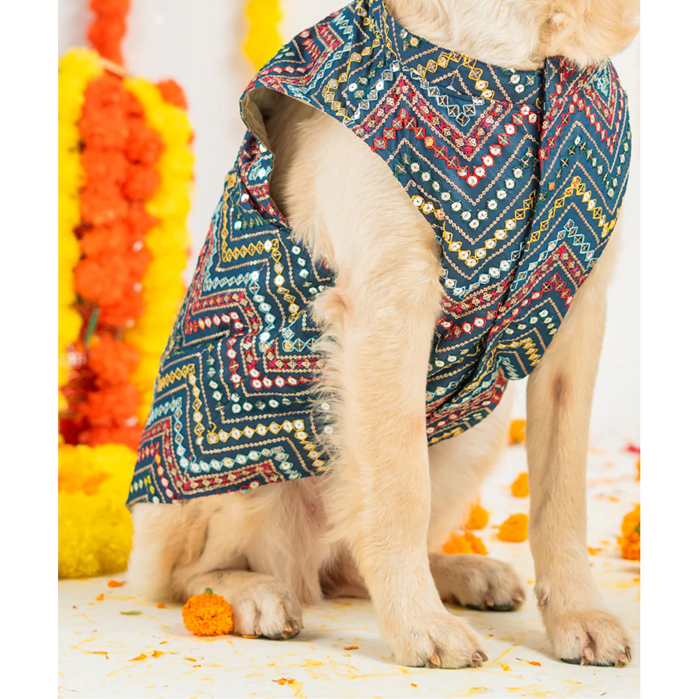 Pet Set Go Sherwani for Dogs (Blue) - Image 7