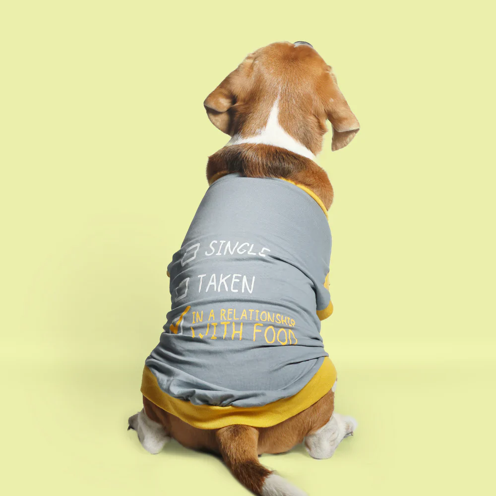 Pet Set Go Single Taken In Relationship Sleeveless Tshirt for Dogs (Grey) - Image 2