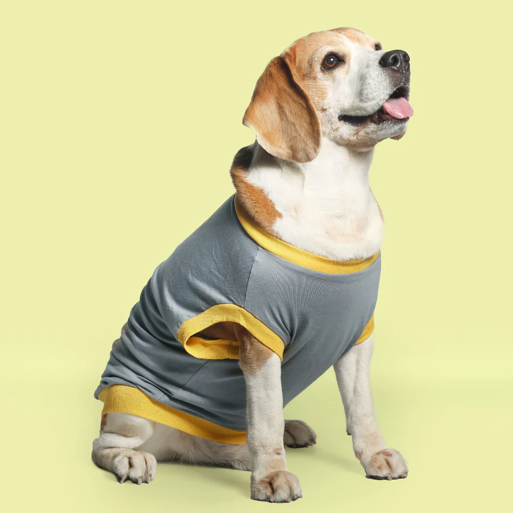 Pet Set Go Single Taken In Relationship Sleeveless Tshirt for Dogs (Grey) - Image 3
