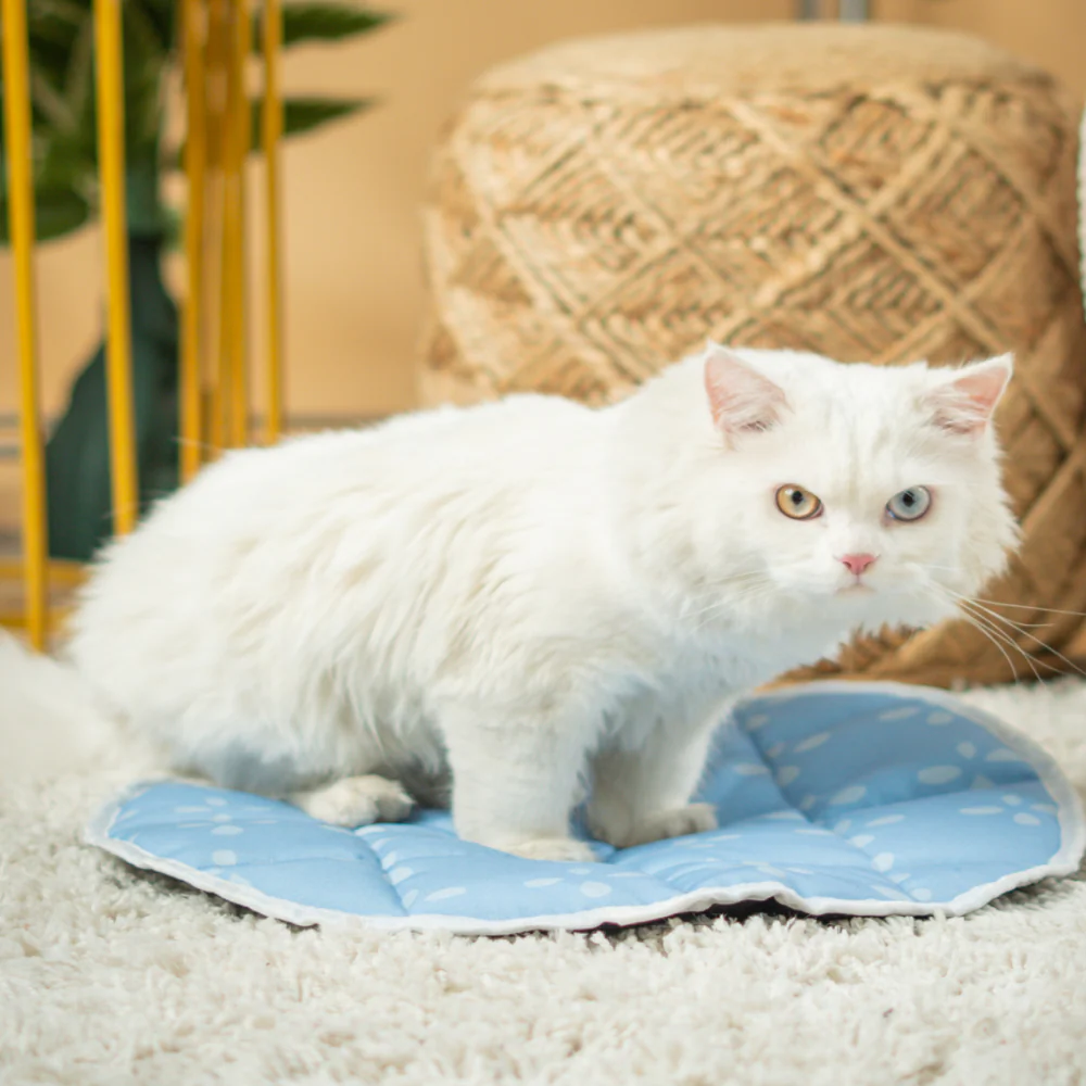 Pet Set Go Sky Bloom Mat for Cats (Blue) - Image 2