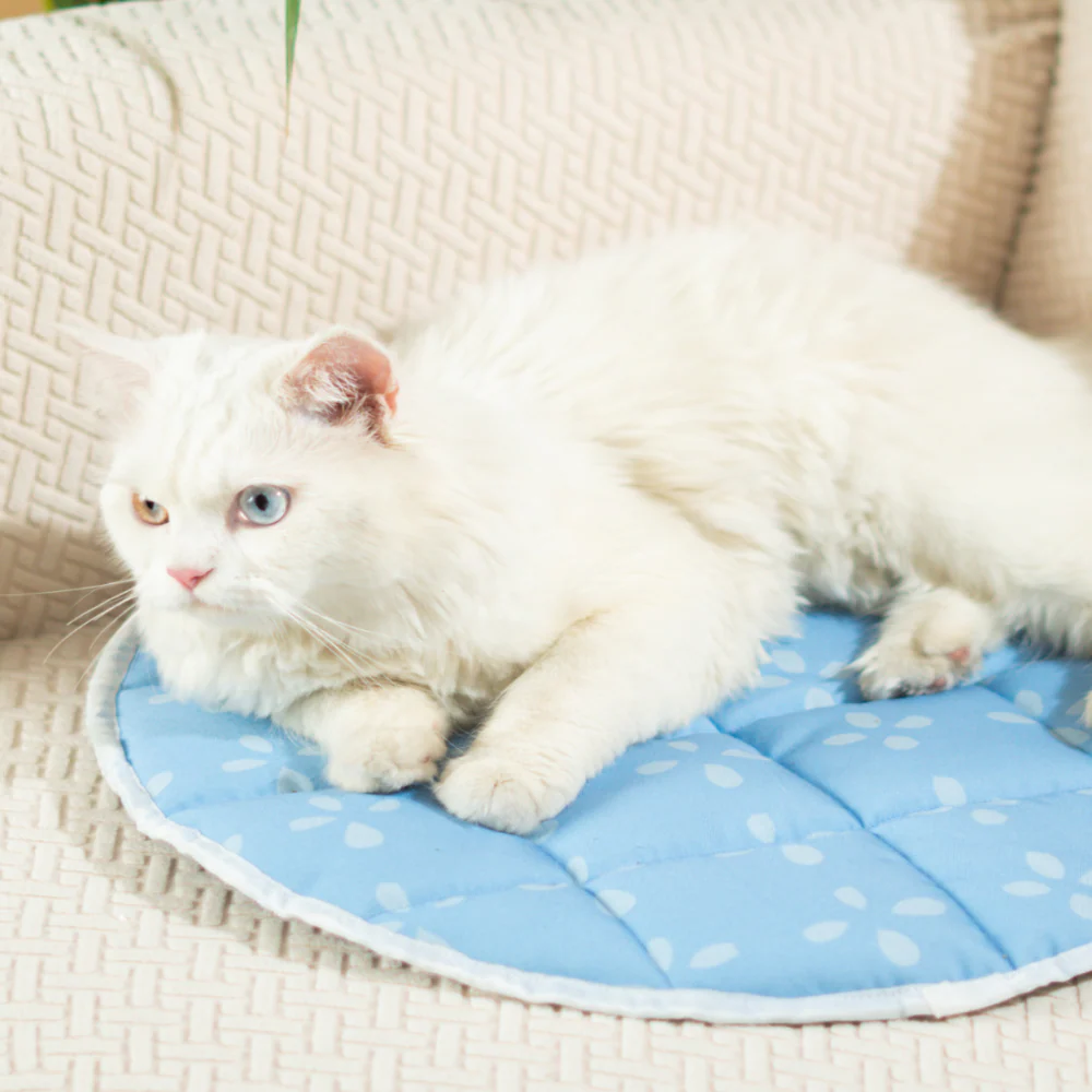 Pet Set Go Sky Bloom Mat for Cats (Blue) - Image 3