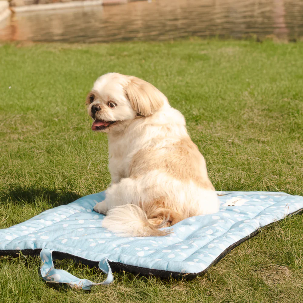 Pet Set Go Sky Bloom Mat for Dogs (Sky Blue) - Image 2
