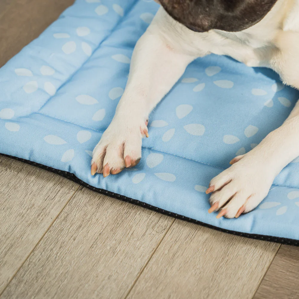 Pet Set Go Sky Bloom Mat for Dogs (Sky Blue) - Image 5