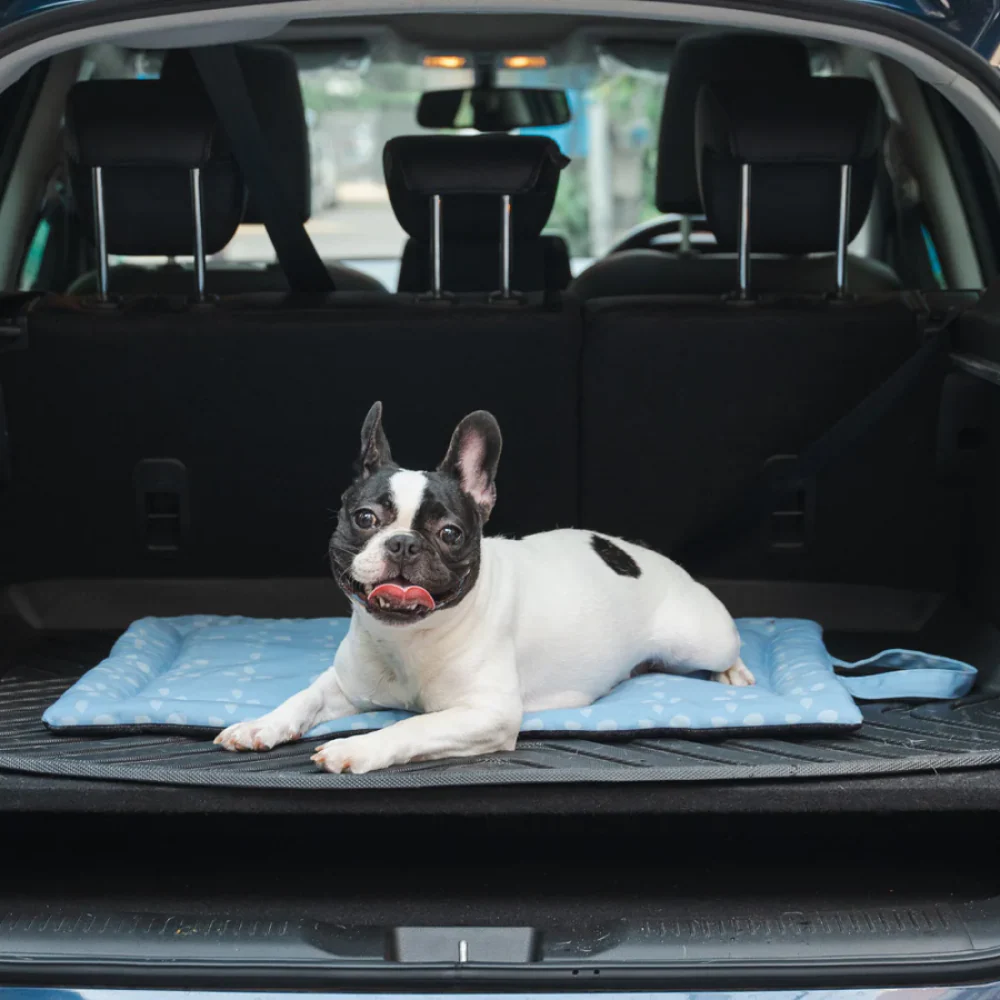 Pet Set Go Sky Bloom Mat for Dogs (Sky Blue) - Image 6
