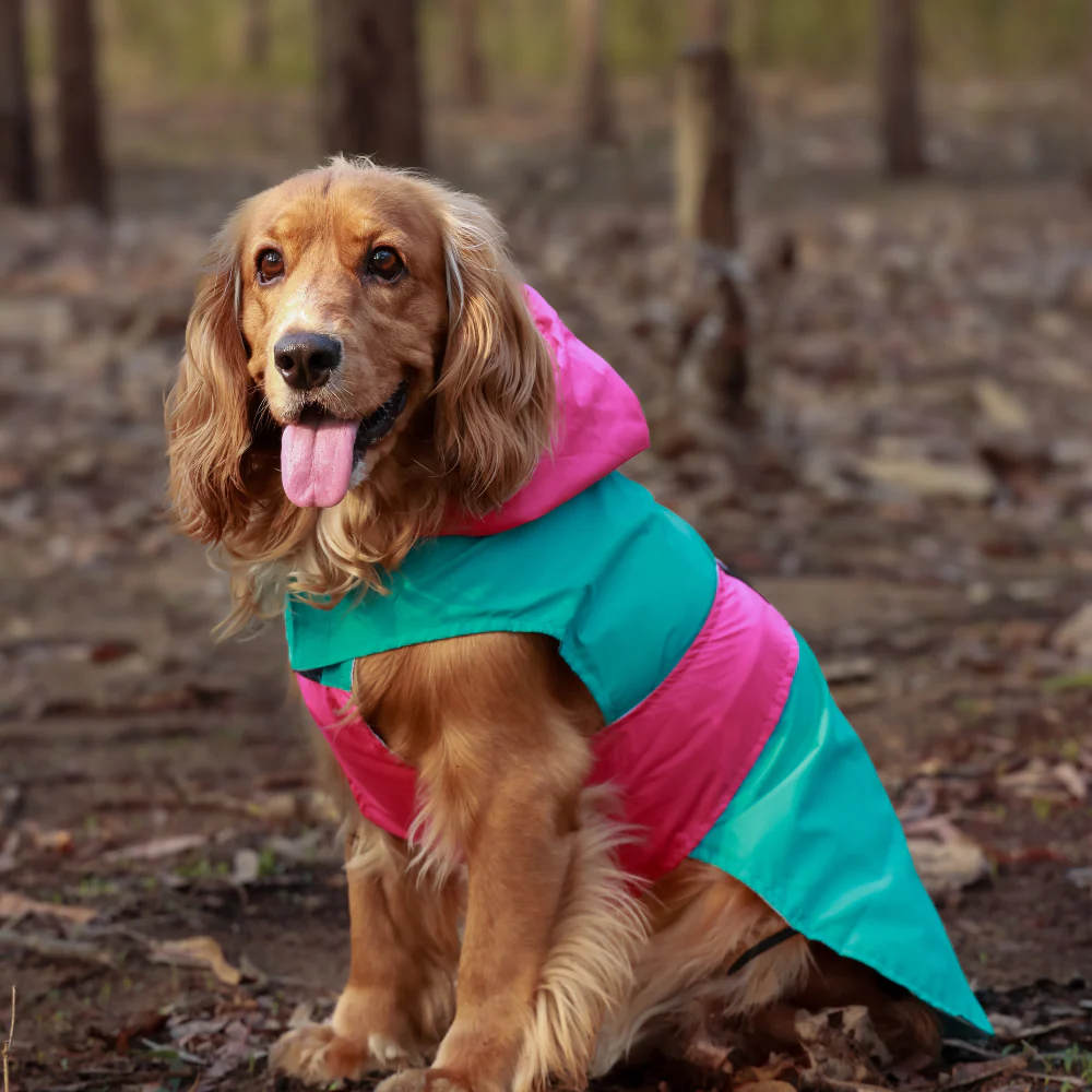 Pet Set Go Splash Waterproof Raincoat for Dogs (Aqua Pink) - Image 5