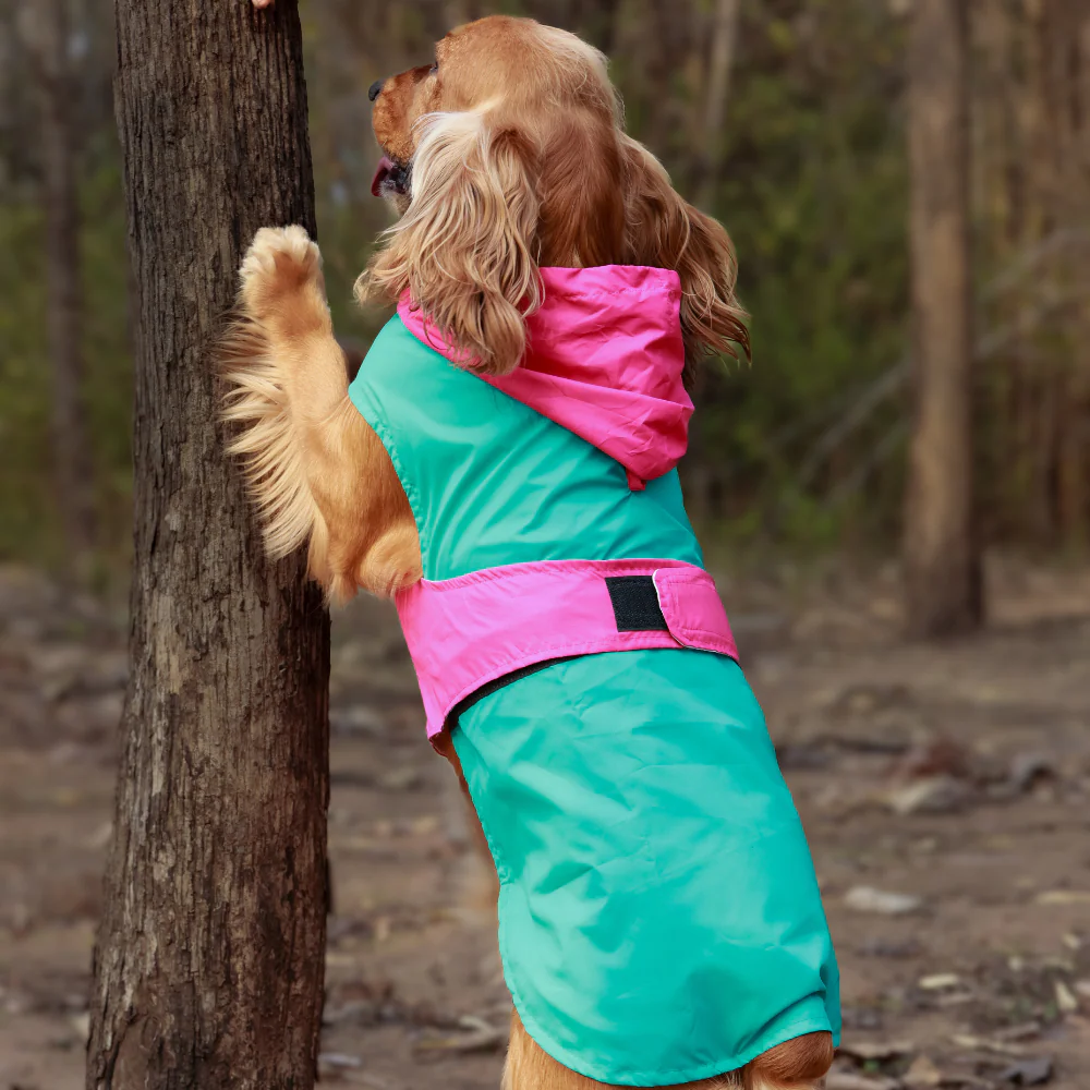 Pet Set Go Splash Waterproof Raincoat for Dogs (Aqua Pink) - Image 6