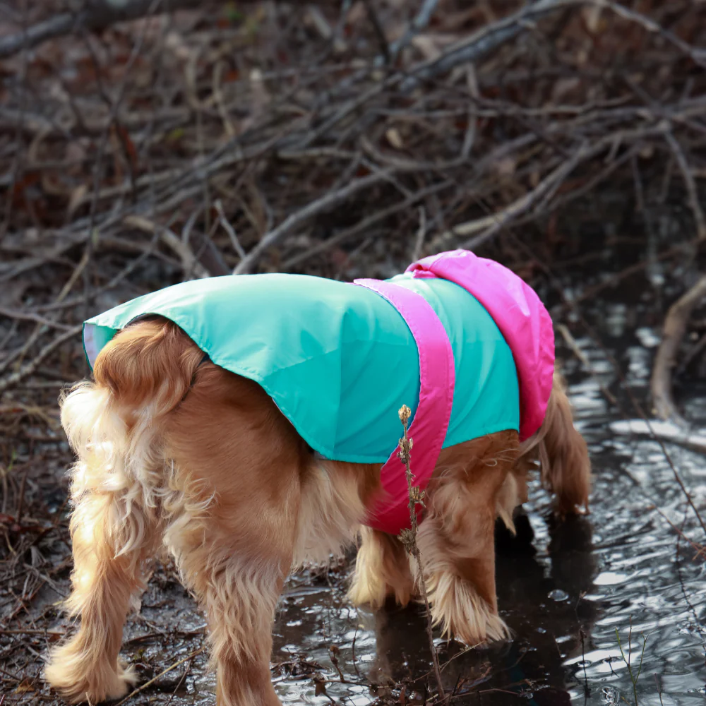 Pet Set Go Splash Waterproof Raincoat for Dogs (Aqua Pink) - Image 9
