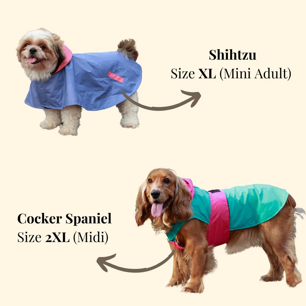 Pet Set Go Splash Waterproof Raincoat for Dogs (Neon Blue) - Image 13
