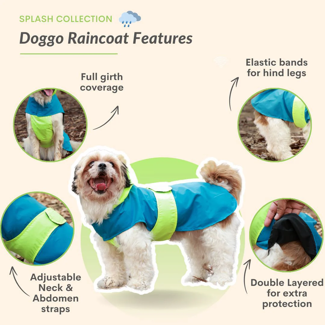 Pet Set Go Splash Waterproof Raincoat for Dogs (Neon Blue) - Image 4