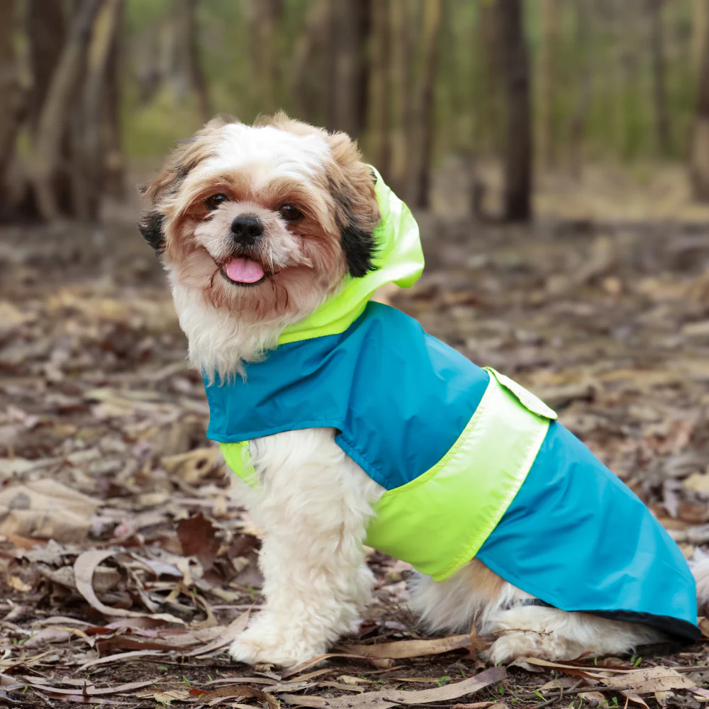 Pet Set Go Splash Waterproof Raincoat for Dogs (Neon Blue) - Image 5