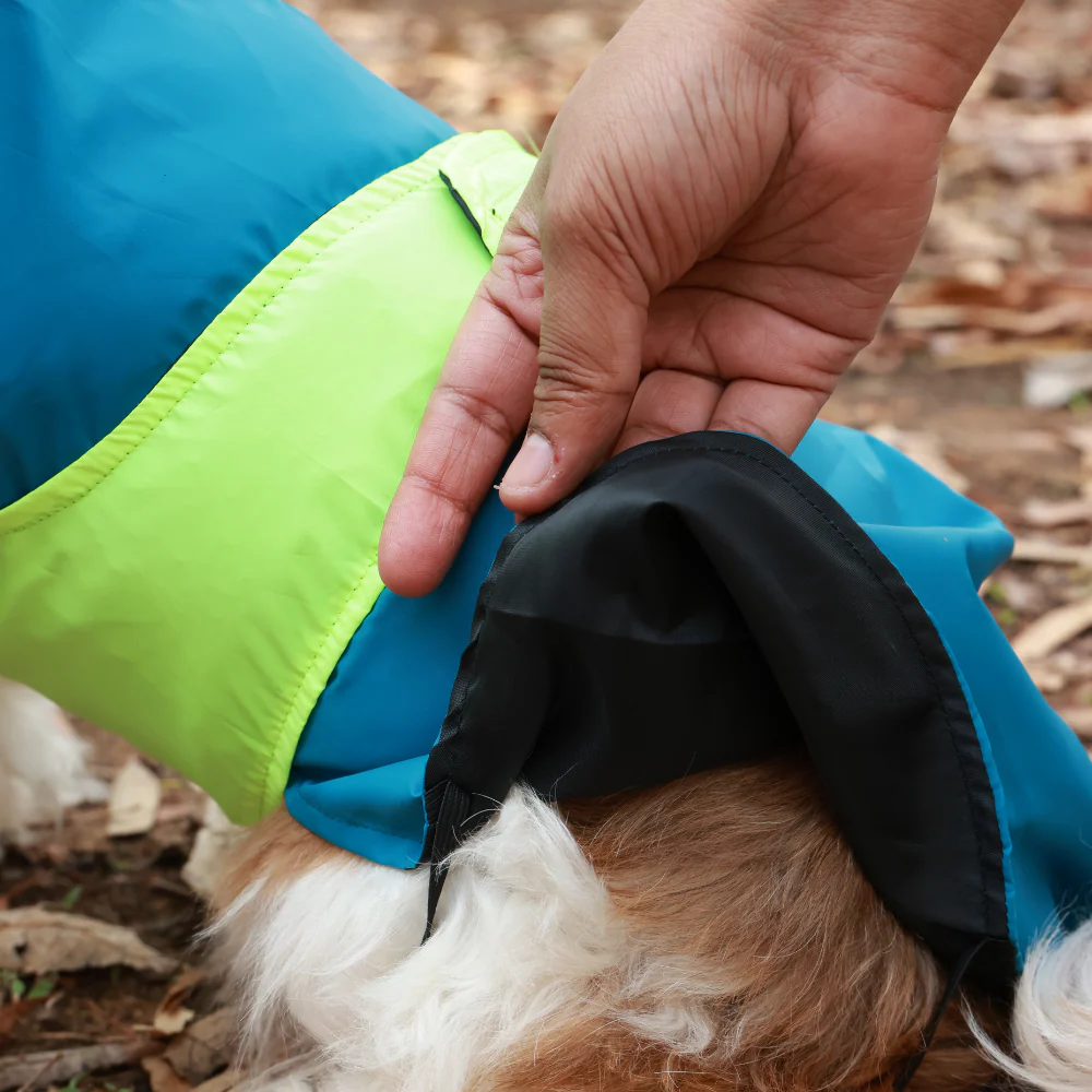 Pet Set Go Splash Waterproof Raincoat for Dogs (Neon Blue) - Image 7