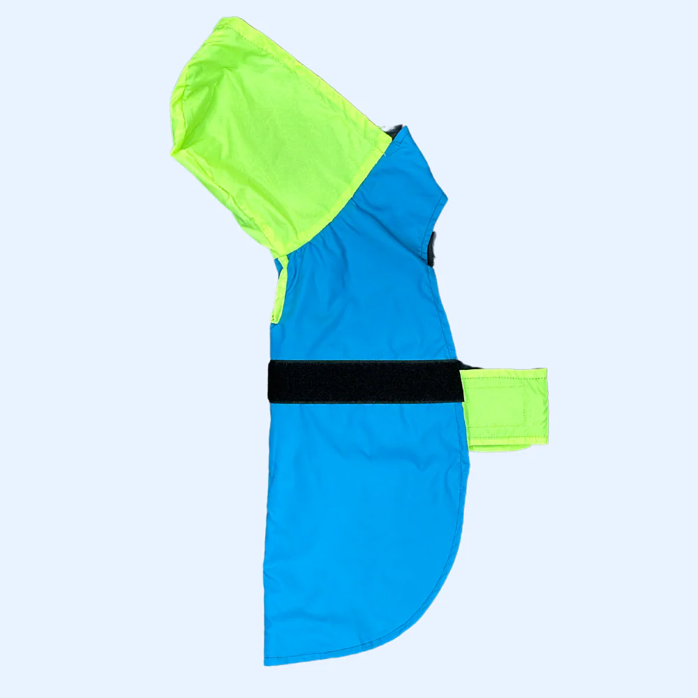 Pet Set Go Splash Waterproof Raincoat for Dogs (Neon Blue) - Image 9