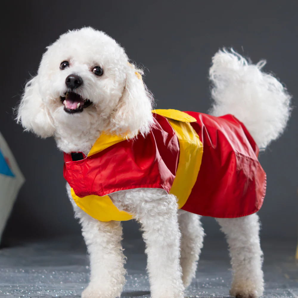 Pet Set Go Splash Waterproof Raincoat for Dogs (Red/Yellow) - Image 10