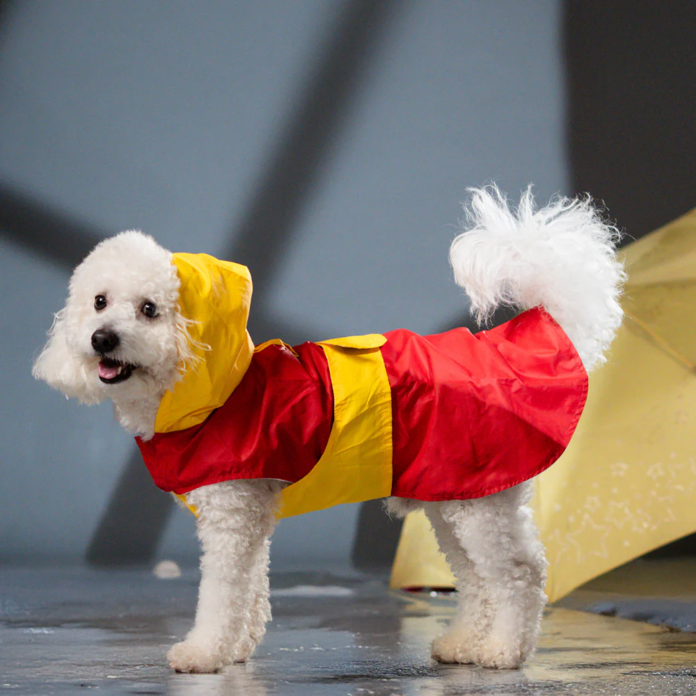 Pet Set Go Splash Waterproof Raincoat for Dogs (Red/Yellow) - Image 5