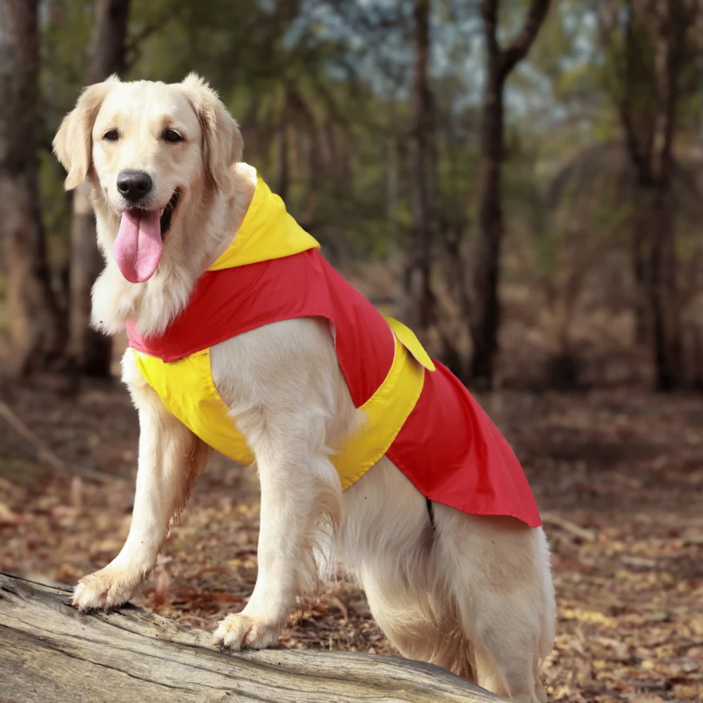 Pet Set Go Splash Waterproof Raincoat for Dogs (Red/Yellow) - Image 8