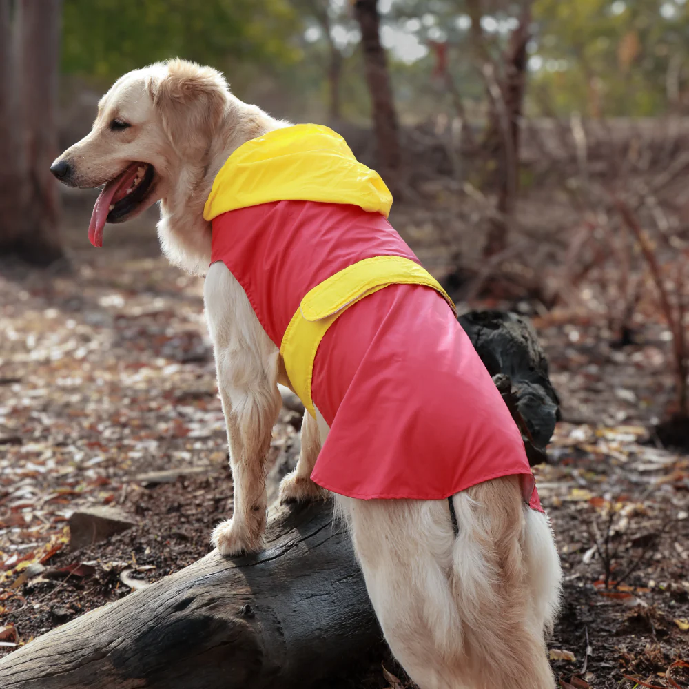 Pet Set Go Splash Waterproof Raincoat for Dogs (Red/Yellow) - Image 9