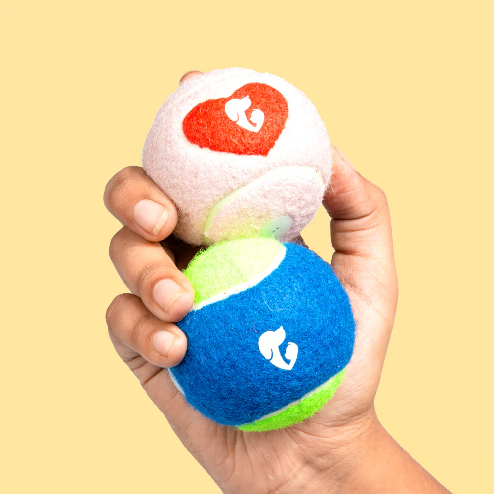 Pet Set Go Squeak Ball Toy for Dogs (Blue) - Image 2