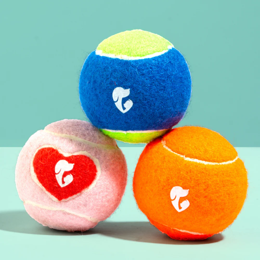 Pet Set Go Squeak Ball Toy for Dogs (Blue) - Image 4