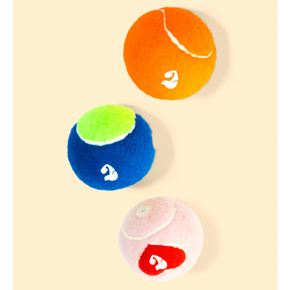 Pet Set Go Squeak Ball Toy for Dogs (Blue) - Image 5