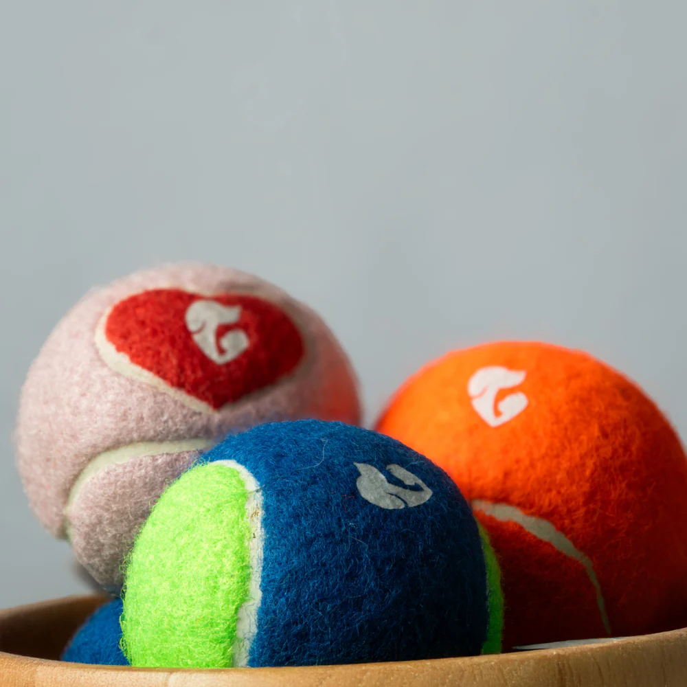 Pet Set Go Squeak Ball Toy for Dogs (Blue) - Image 6