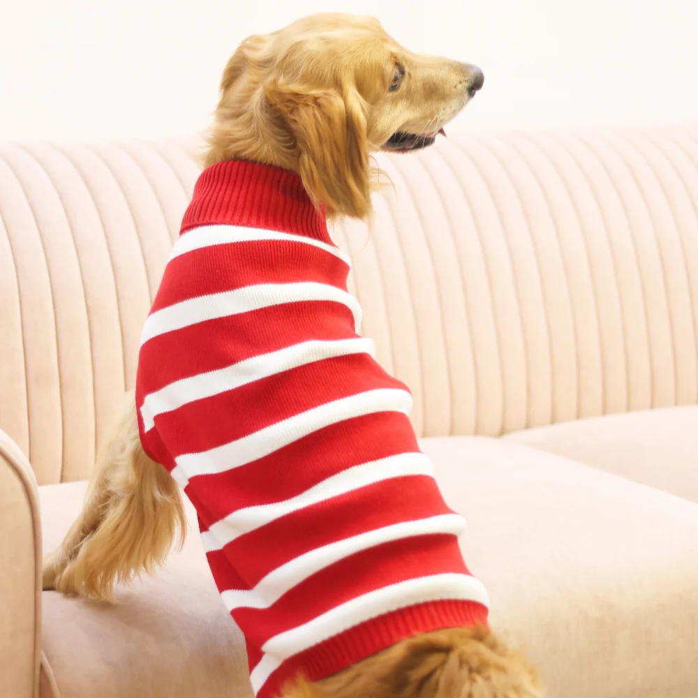 Pet Set Go Striped Sweater for Dogs (Red) - Image 3