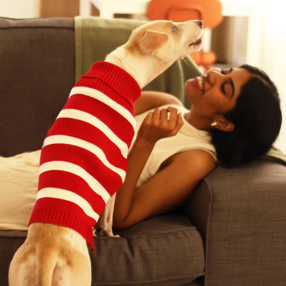 Pet Set Go Striped Sweater for Dogs (Red) - Image 4