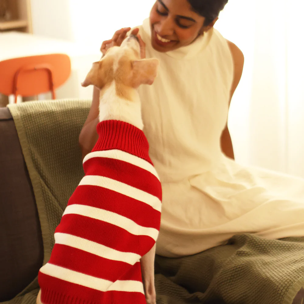 Pet Set Go Striped Sweater for Dogs (Red) - Image 7