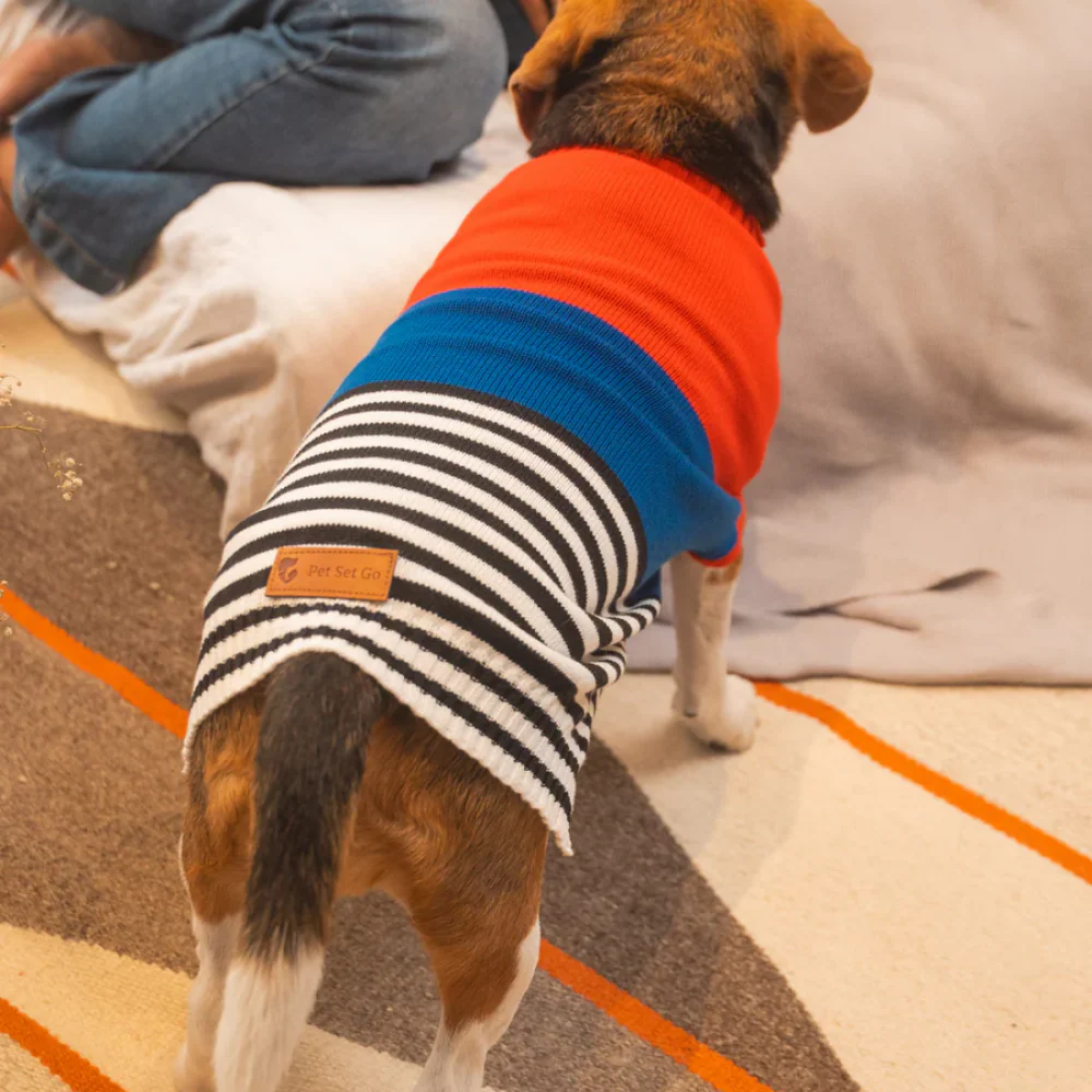 Pet Set Go Striped Sweater for Dogs (Red/Blue) - Image 12