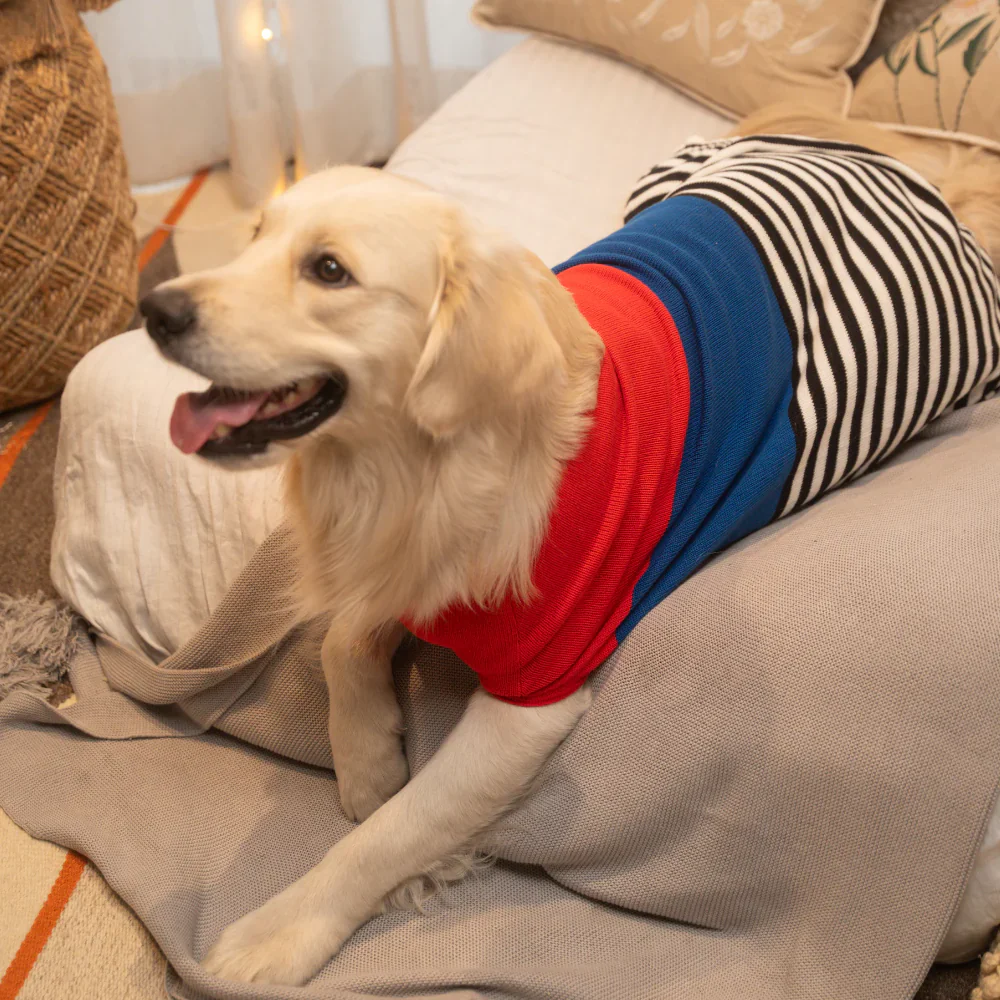Pet Set Go Striped Sweater for Dogs (Red/Blue) - Image 13