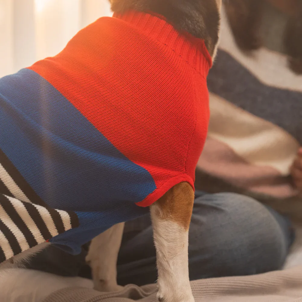 Pet Set Go Striped Sweater for Dogs (Red/Blue) - Image 14