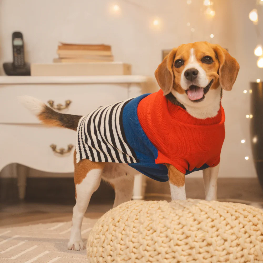 Pet Set Go Striped Sweater for Dogs (Red/Blue) - Image 2