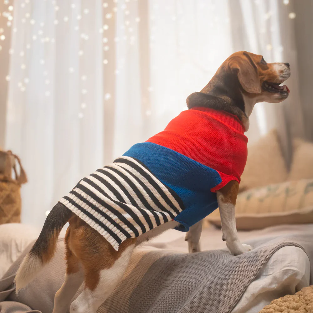 Pet Set Go Striped Sweater for Dogs (Red/Blue) - Image 3