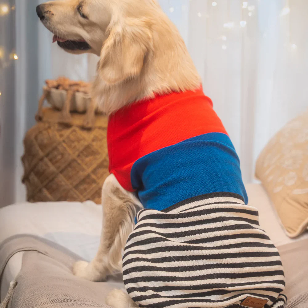 Pet Set Go Striped Sweater for Dogs (Red/Blue) - Image 5