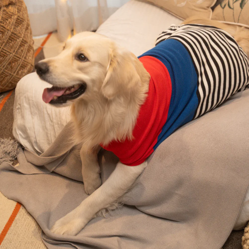 Pet Set Go Striped Sweater for Dogs (Red/Blue) - Image 6