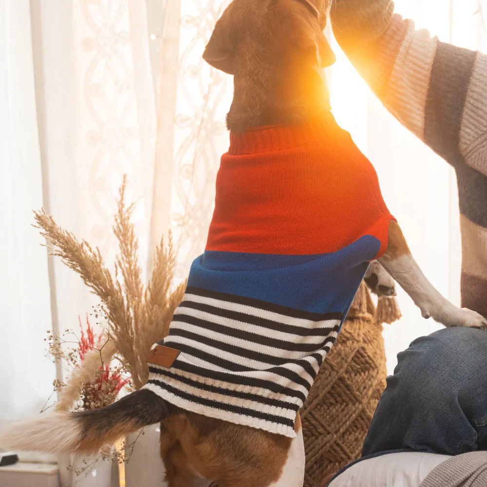 Pet Set Go Striped Sweater for Dogs (Red/Blue) - Image 8
