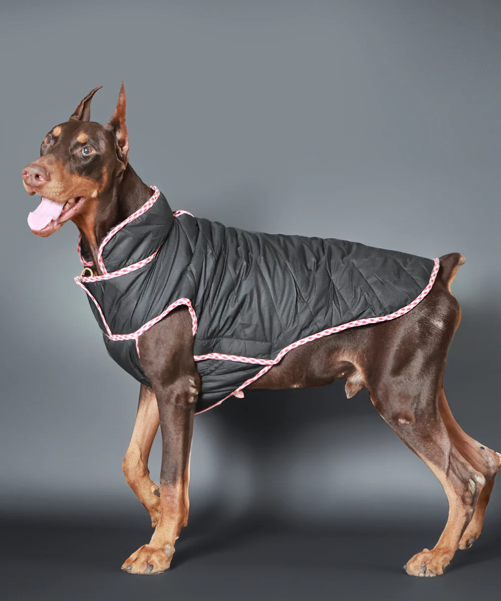 Pet Set Go Wind Sheeter Jackets for Dogs (Black) - Image 3
