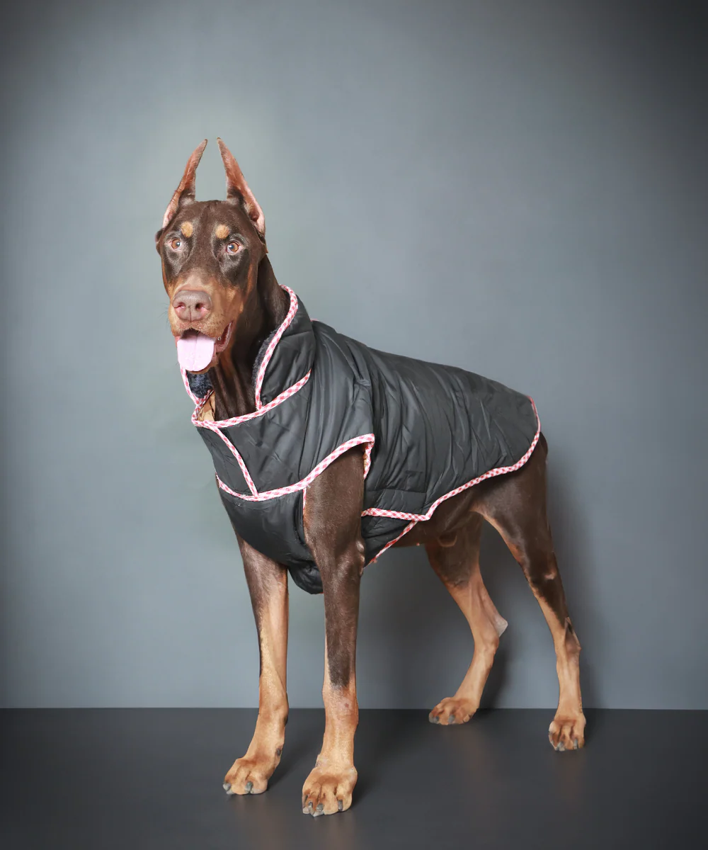 Pet Set Go Wind Sheeter Jackets for Dogs (Black) - Image 4