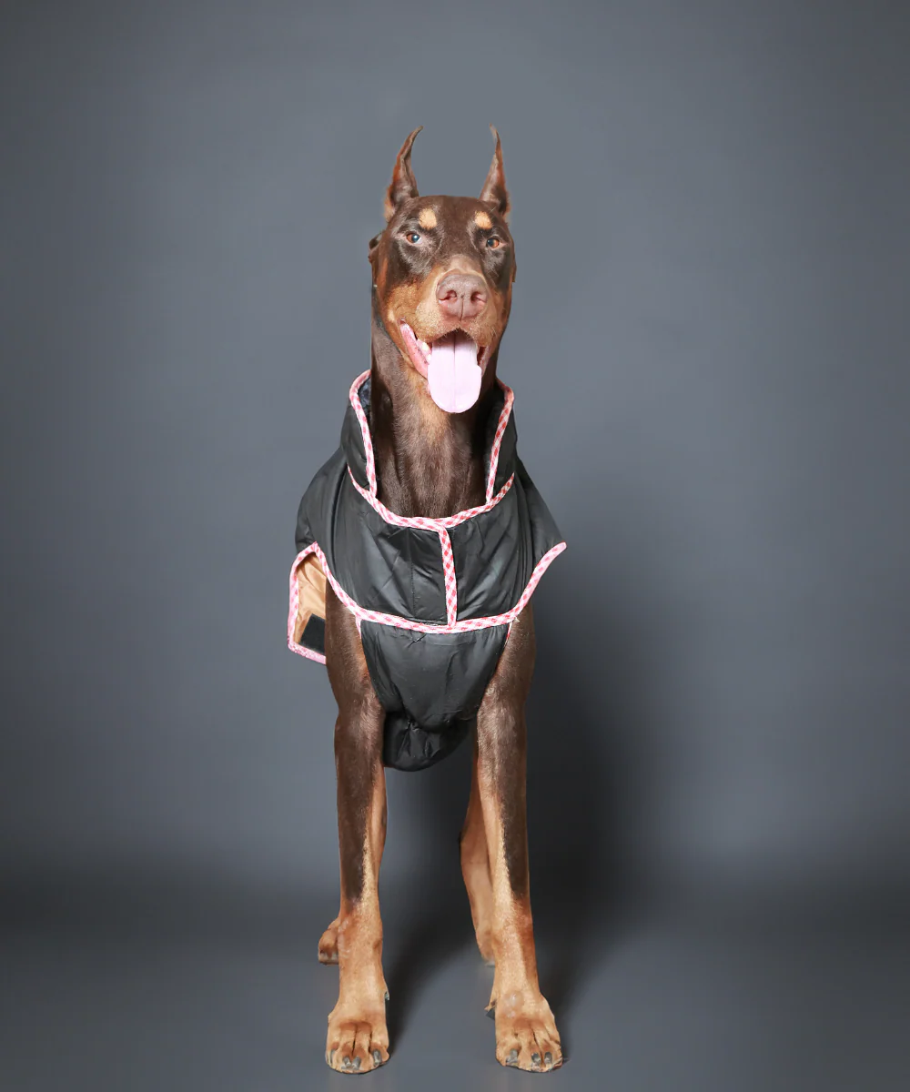 Pet Set Go Wind Sheeter Jackets for Dogs (Black) - Image 5