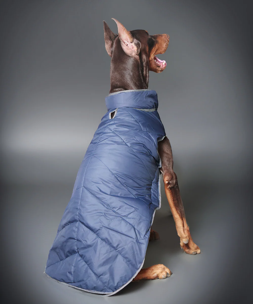 Pet Set Go Wind Sheeter Jackets for Dogs (Blue) - Image 4