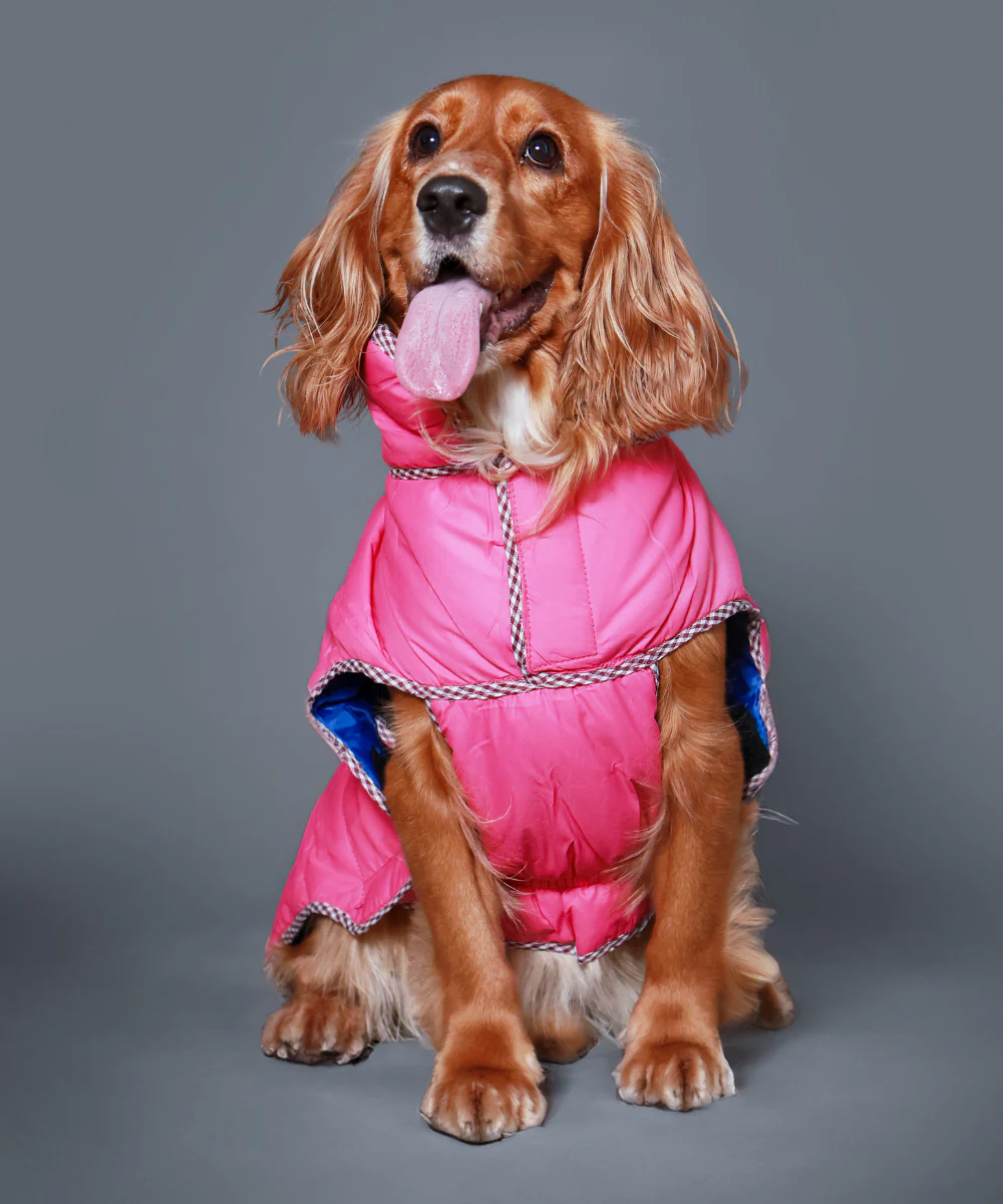 Pet Set Go Wind Sheeter Jackets for Dogs (Pink) - Image 3