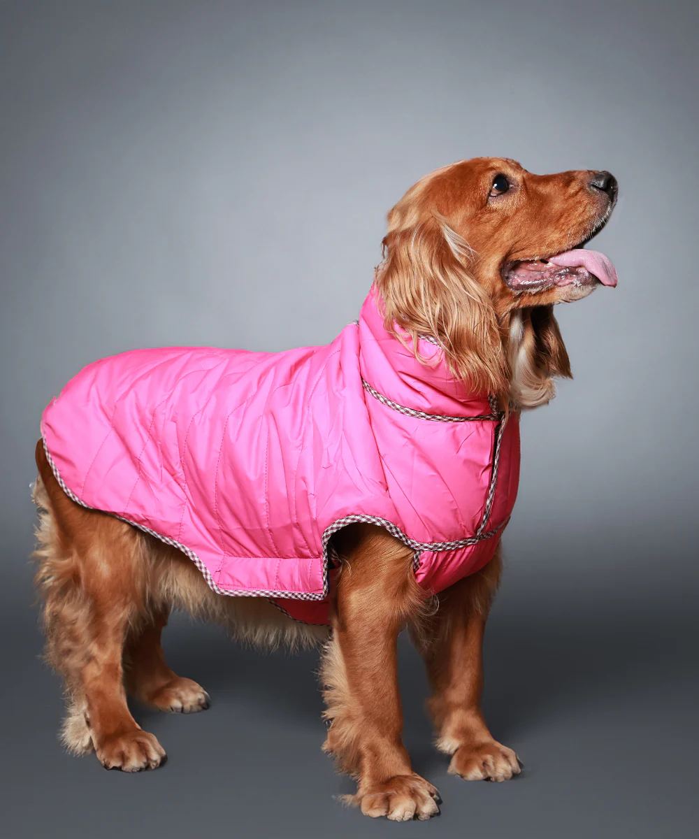 Pet Set Go Wind Sheeter Jackets for Dogs (Pink) - Image 5