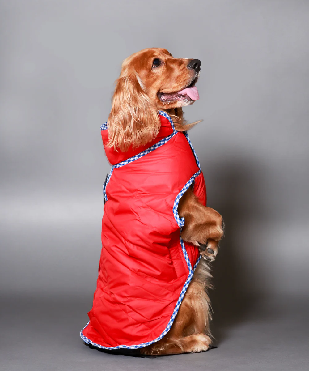 Pet Set Go Wind Sheeter Jackets for Dogs (Red) - Image 3