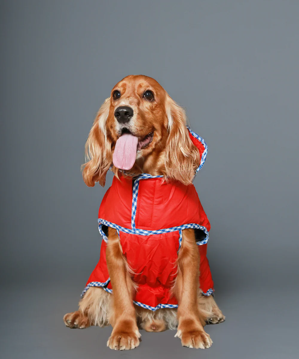 Pet Set Go Wind Sheeter Jackets for Dogs (Red) - Image 4